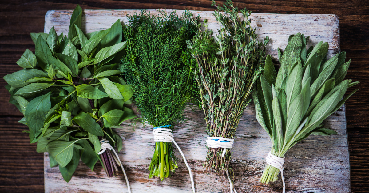 Erbe aromatiche