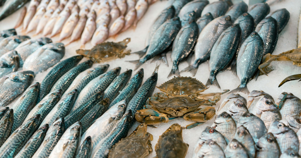 pesce azzurro