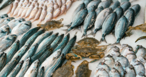 pesce azzurro